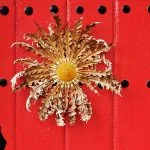 eguzkilore informazioa,