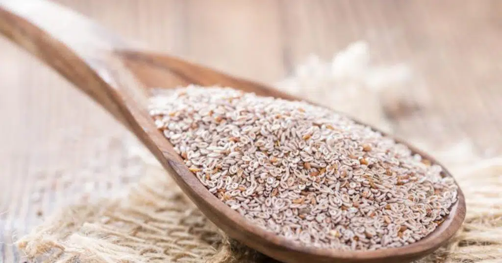 que es psyllium husk